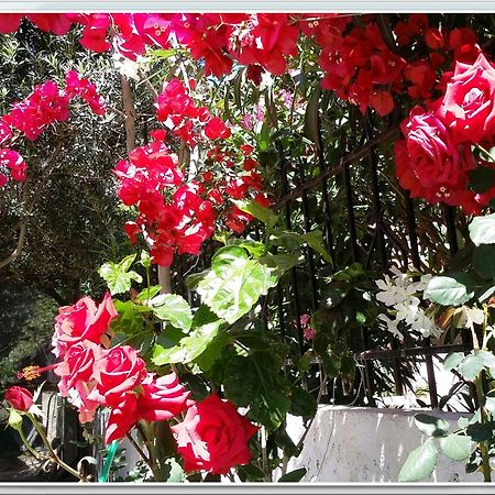 פליאוחורה Olive Tree Cottages מראה חיצוני תמונה