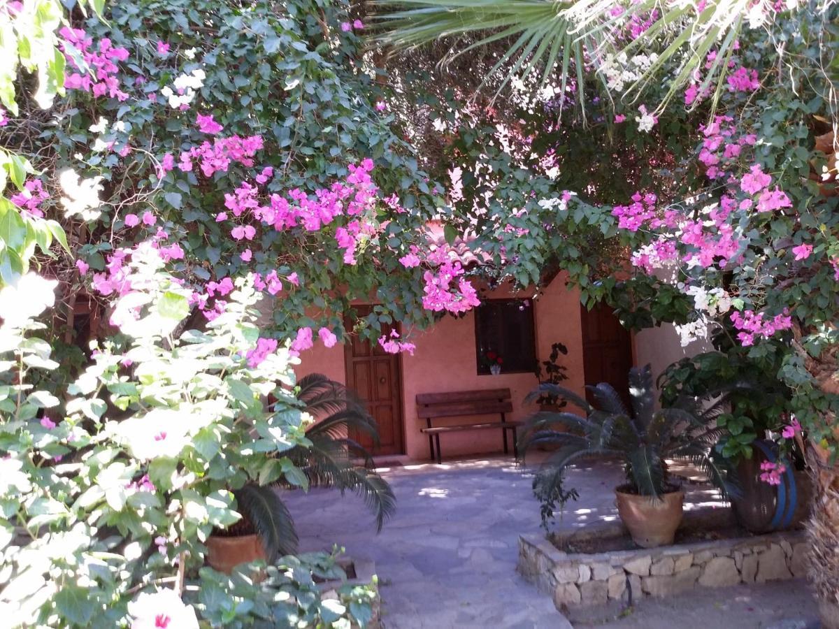 פליאוחורה Olive Tree Cottages מראה חיצוני תמונה