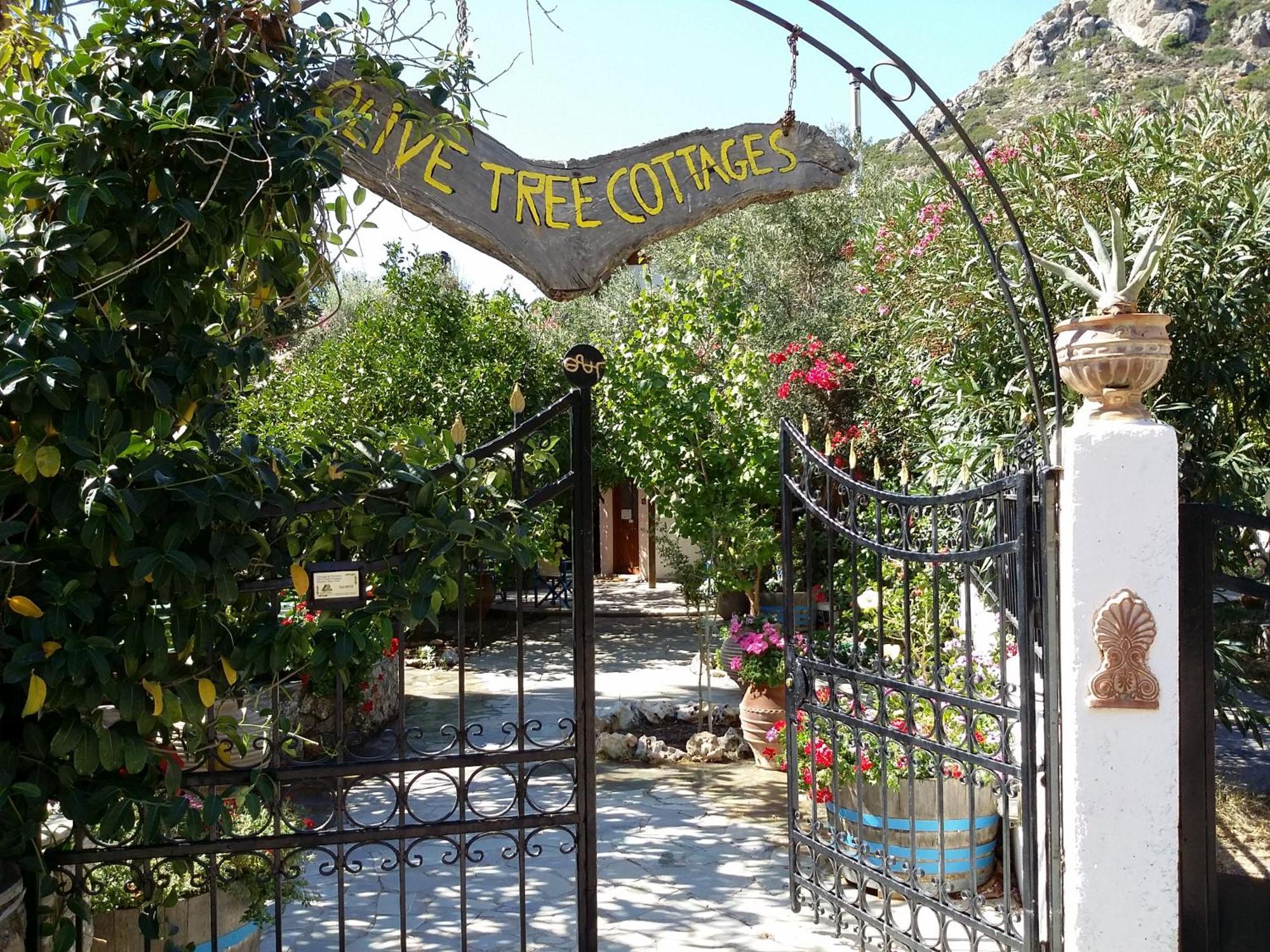 פליאוחורה Olive Tree Cottages מראה חיצוני תמונה